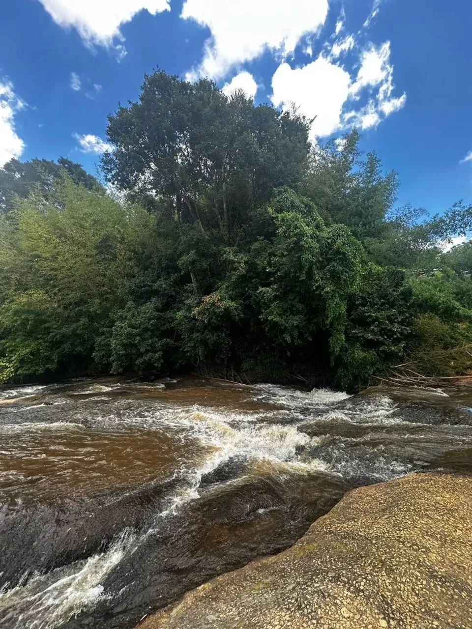 Seu Terreno no Interior com Segurança e Natureza  Aproveite! - Foto 4