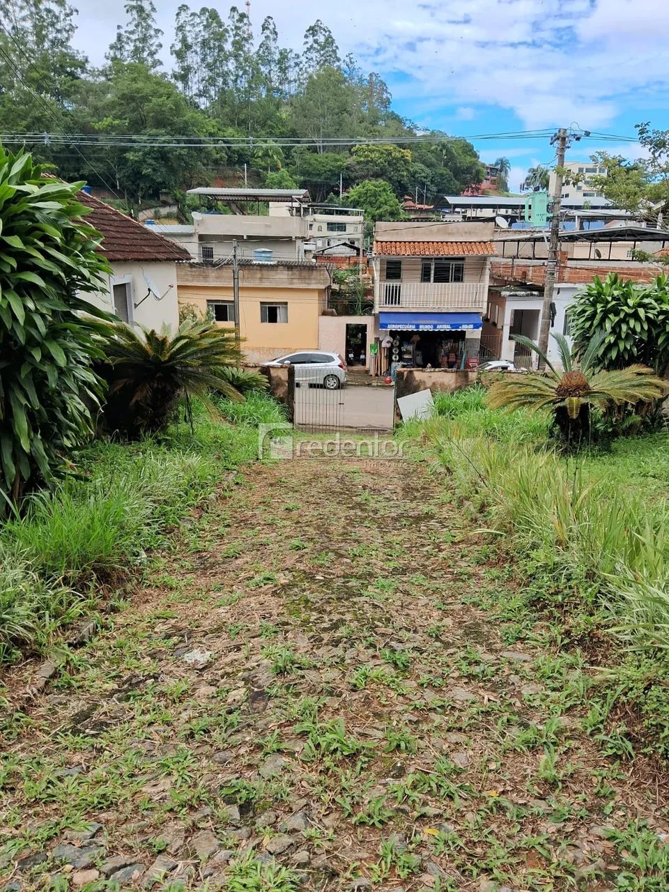 Uma bela chácara - Foto 5