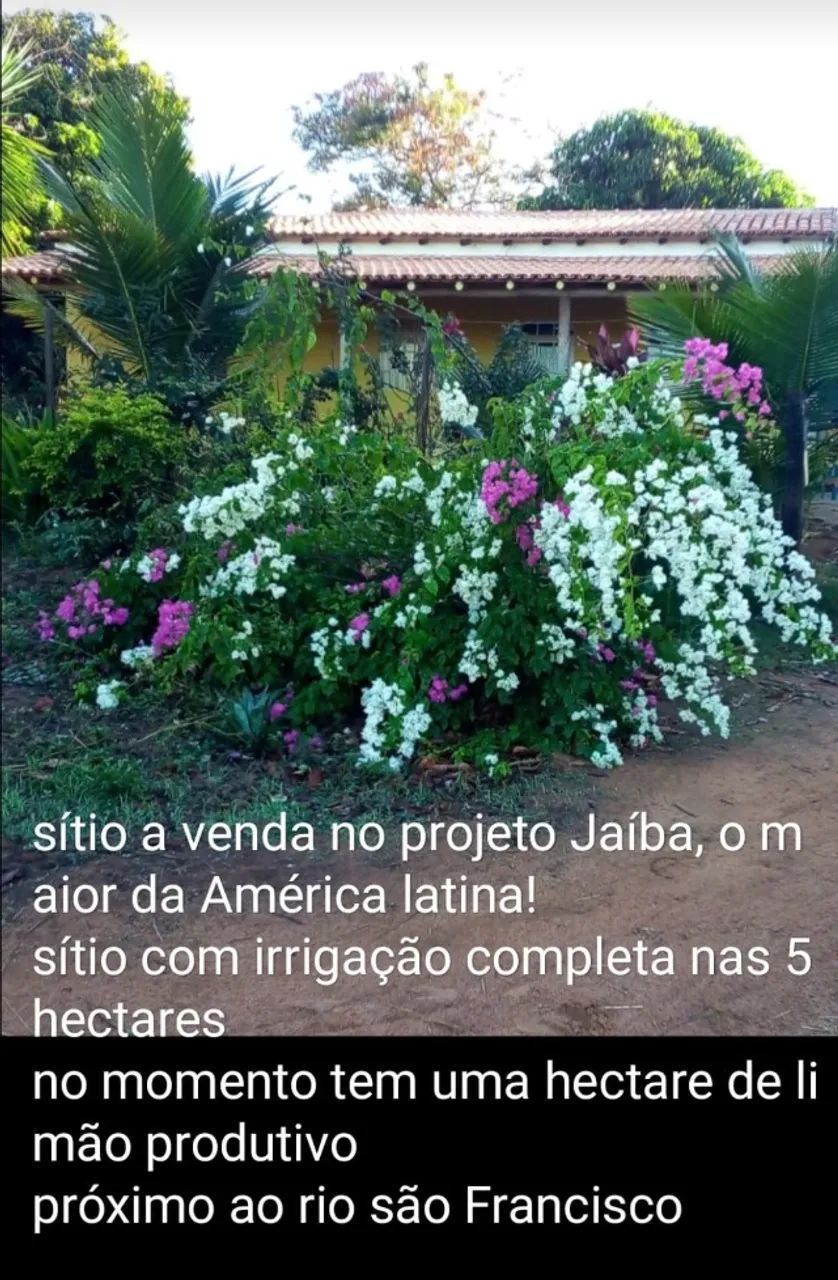 Foto - Guarulhos - Jardim Ponte Alta I