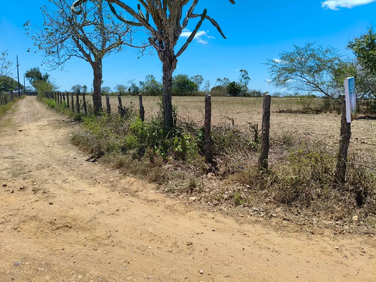 Terreno em Feira Nova  - Foto 5