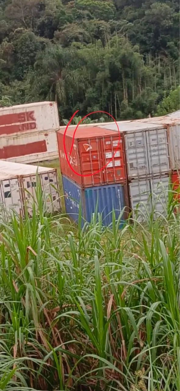 Container 6 metros