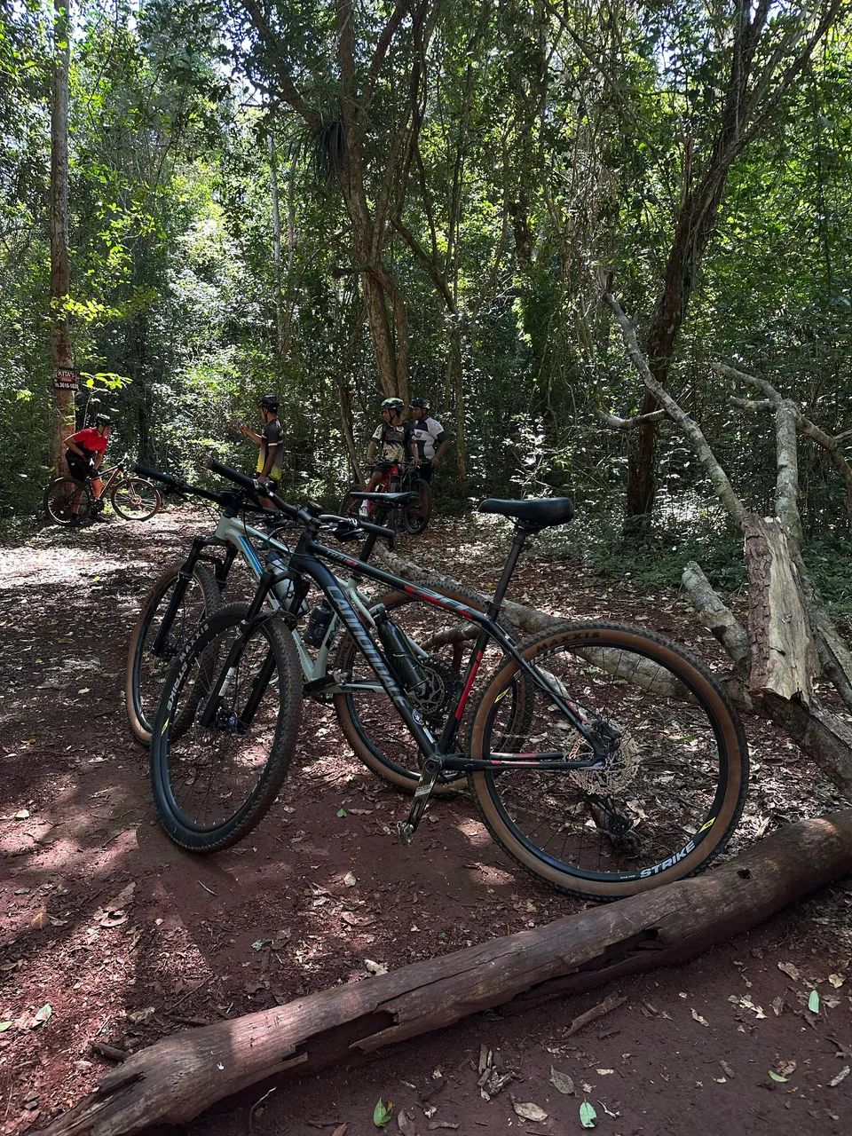 Bicicleta aro 29