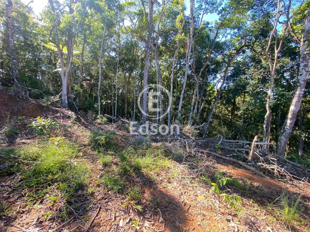 Sítio à venda no bairro Centro - São Pedro de Alcântara/SC - Foto 3