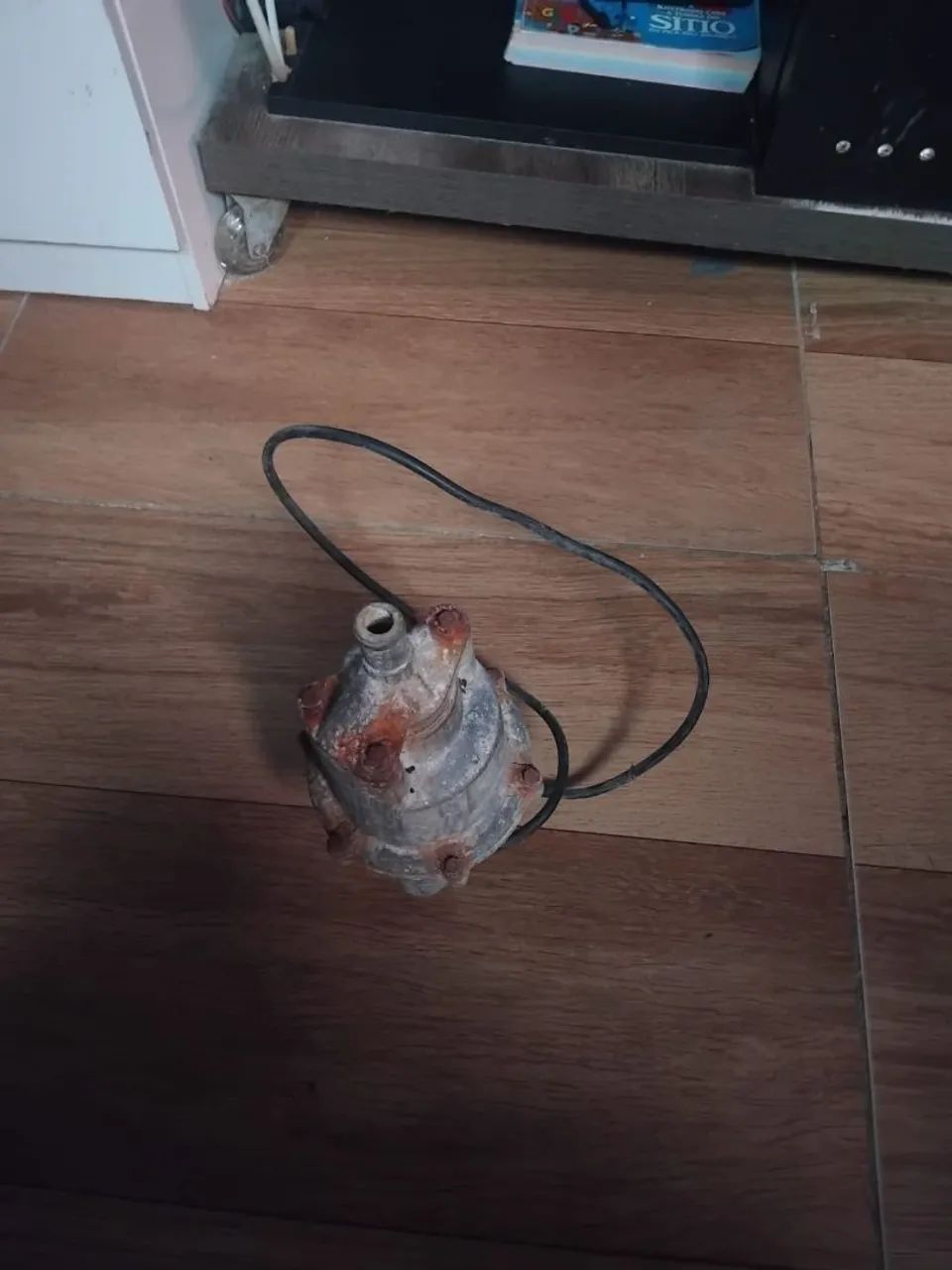 Bomba  D'agua Sapo - Foto 2