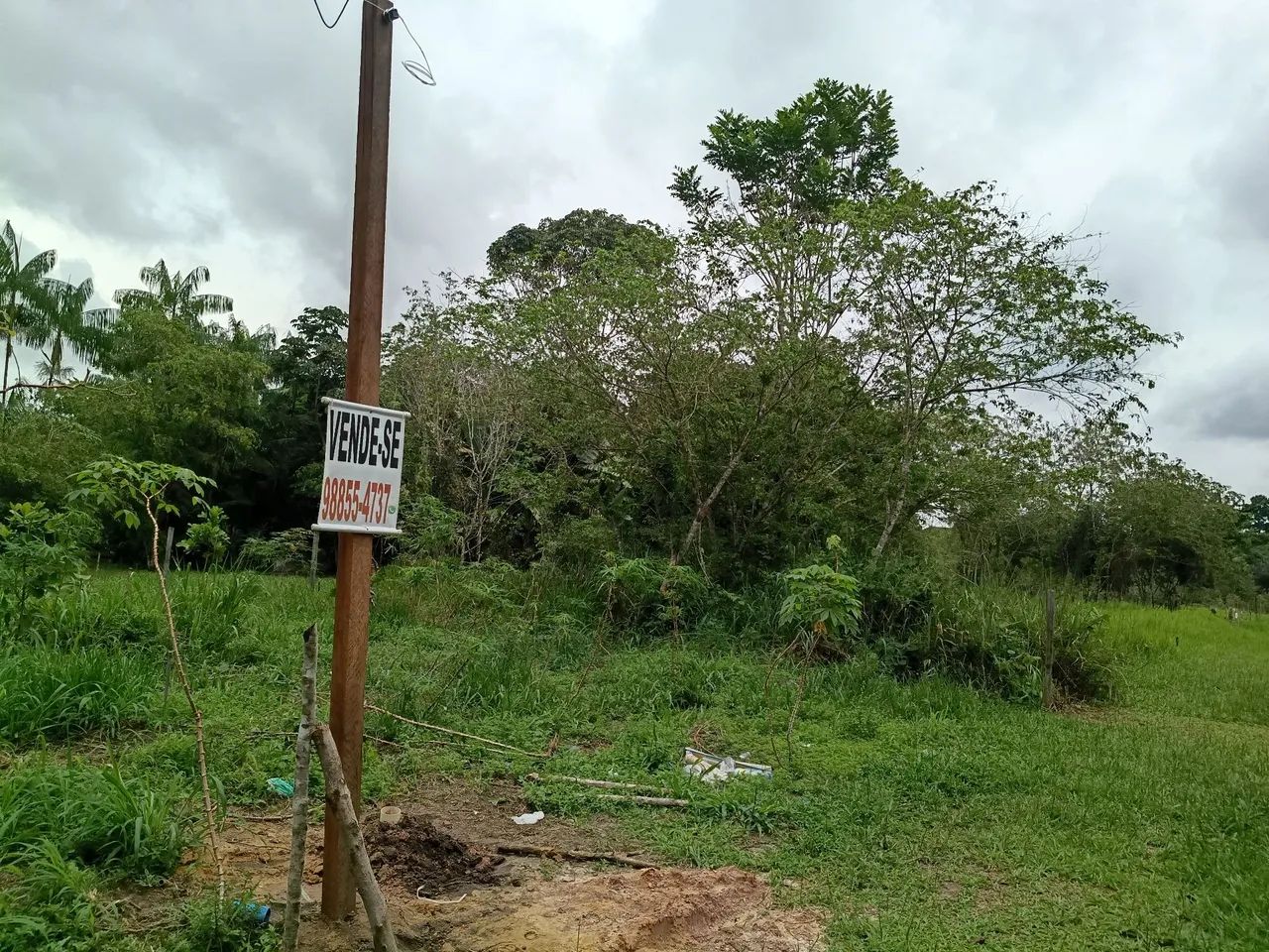 Foto - Belém - Caruara (Mosqueiro)