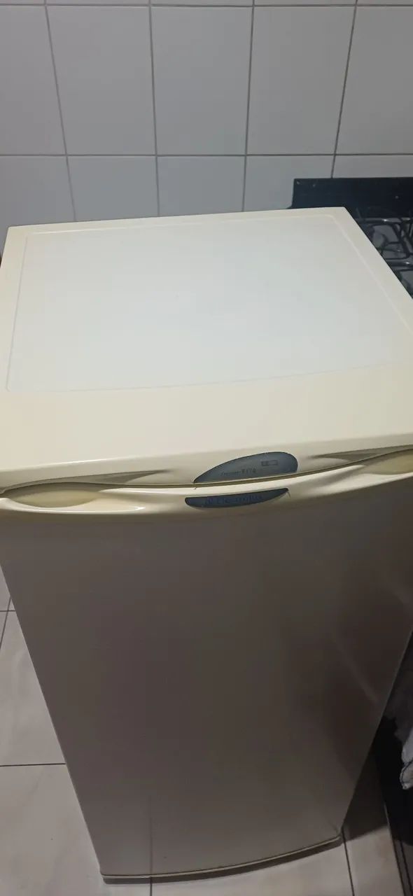 Freezer Eletrolux f170 funcionando perfeito - Foto 4