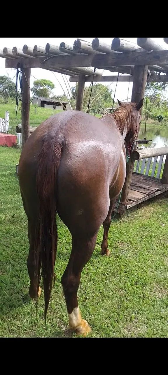 A venda  - Foto 2