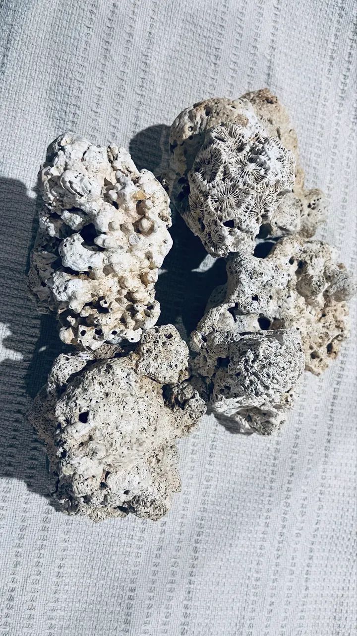 Pedra Aquática  - Foto 2