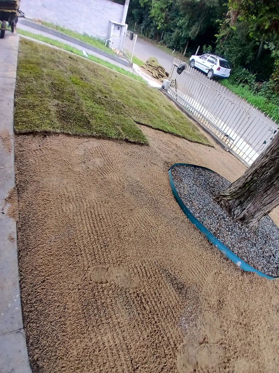 Jardinagem e Paisagismo  - Foto 4