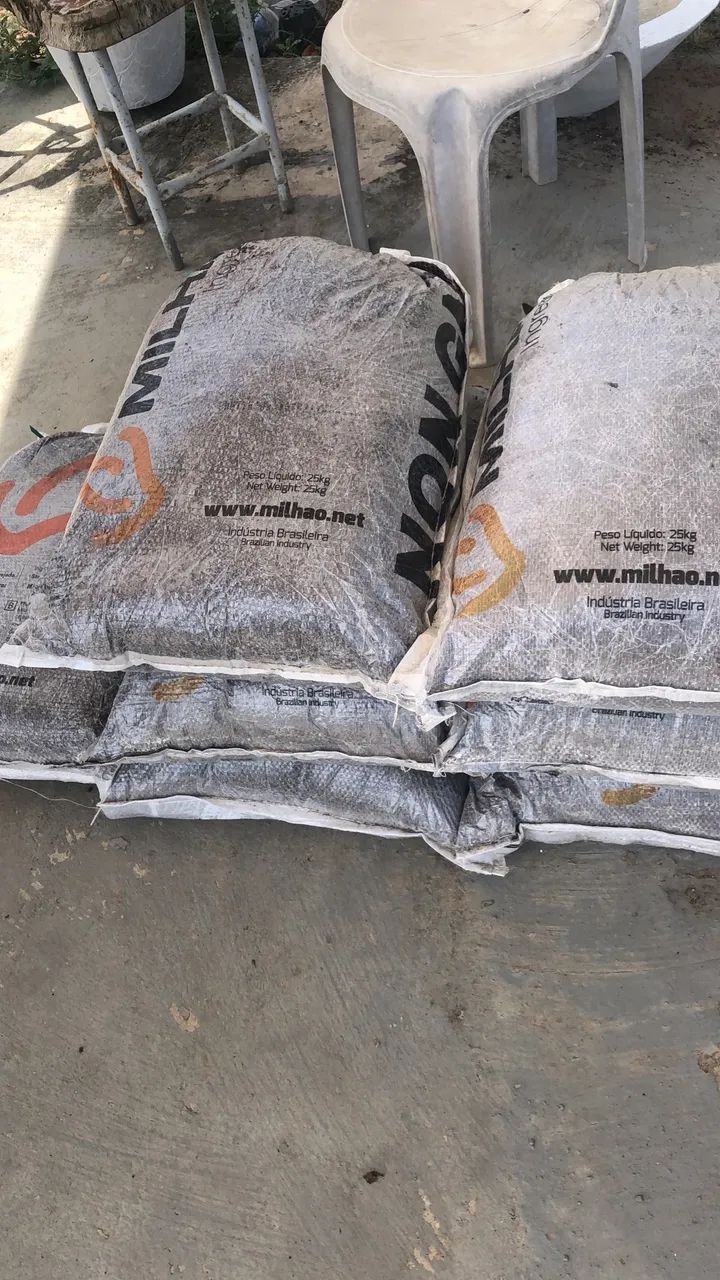 MUDAS FRUTÍFERAS  - Foto 2