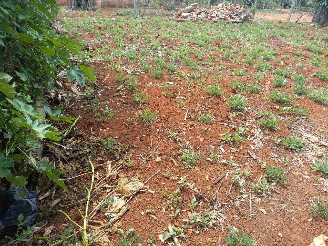 Vendo/Troco por veículo.  - Foto 3