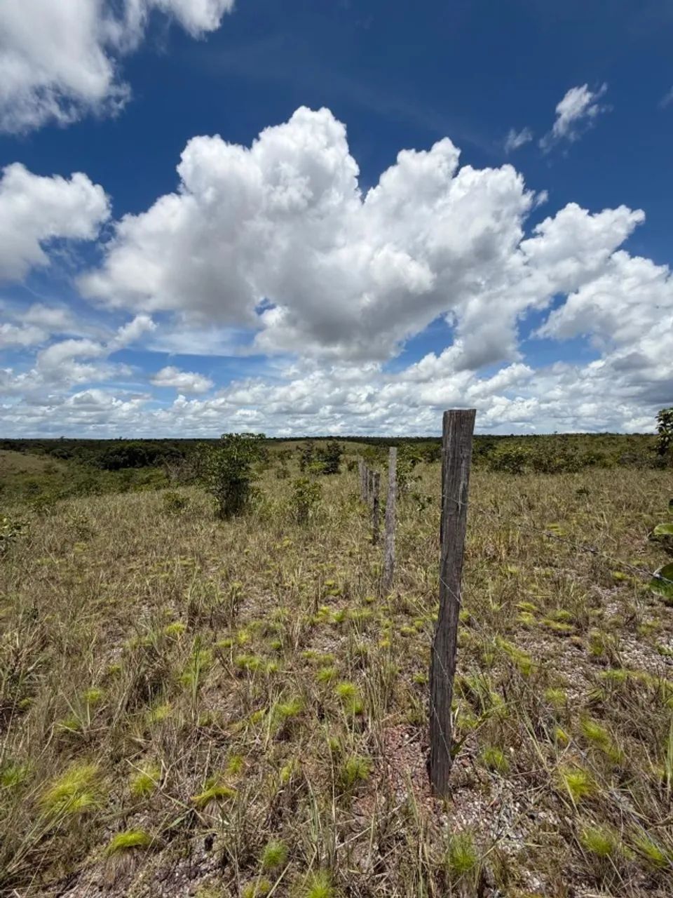 Vendo Sítio á 35 km de Santana na localidade Maçaranduba II - Foto 7