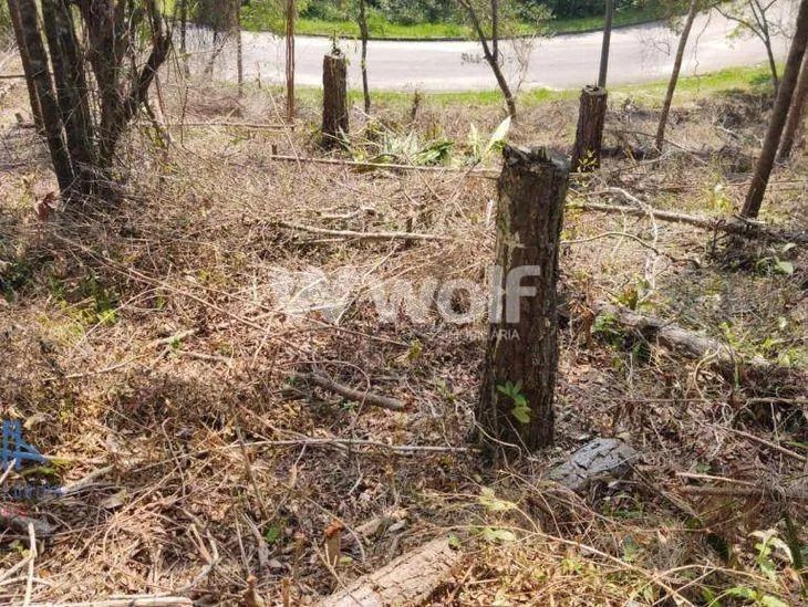 Terreno no João Paulo / Florianópolis - Foto 5