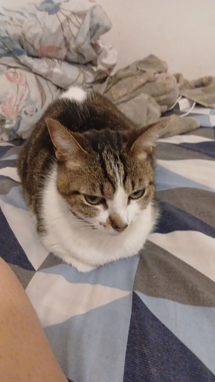 Penélope 