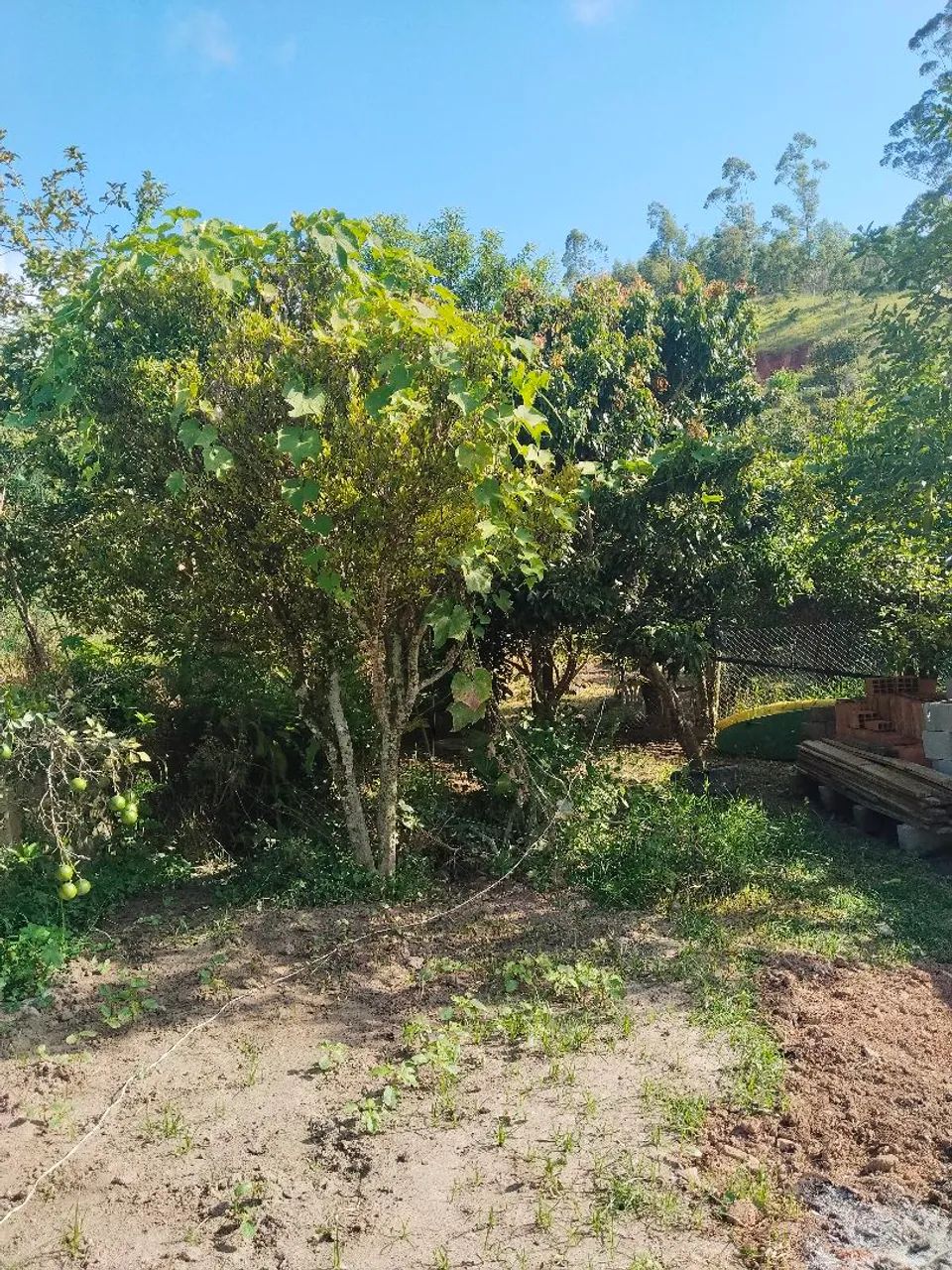 Foto - Salesópolis - 