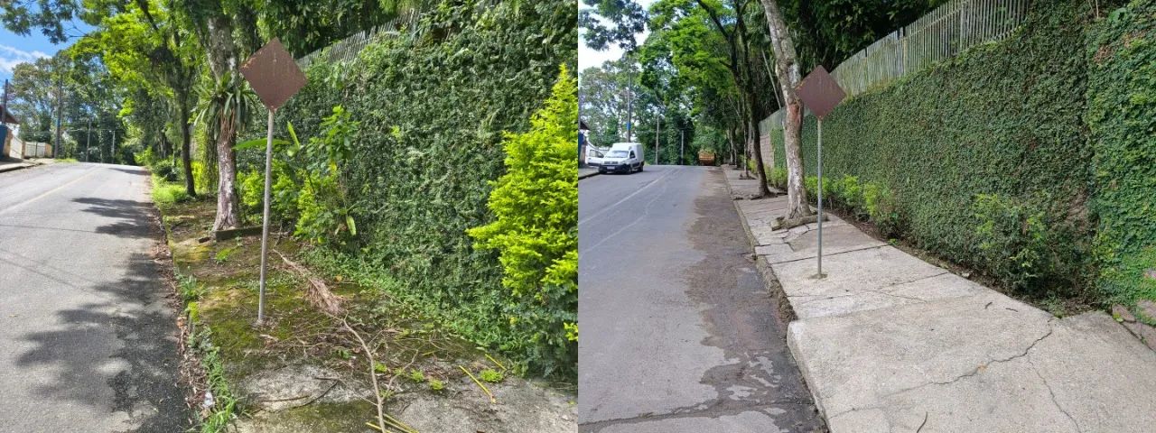 Poda e Limpeza de Cerca Viva e Arbustos em Joinville - Foto 2