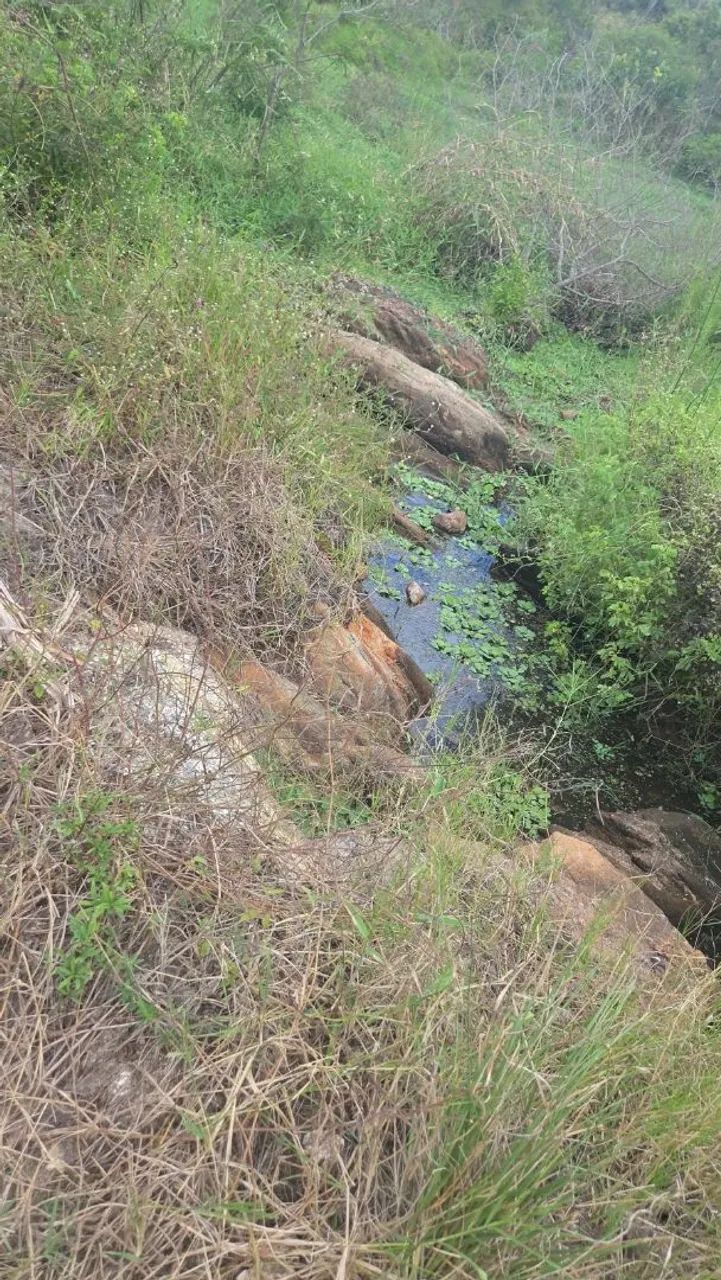 Sitio em Lagoa Seca com muita água  - Foto 2