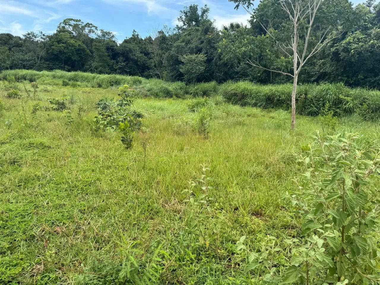 Fazenda - Foto 3
