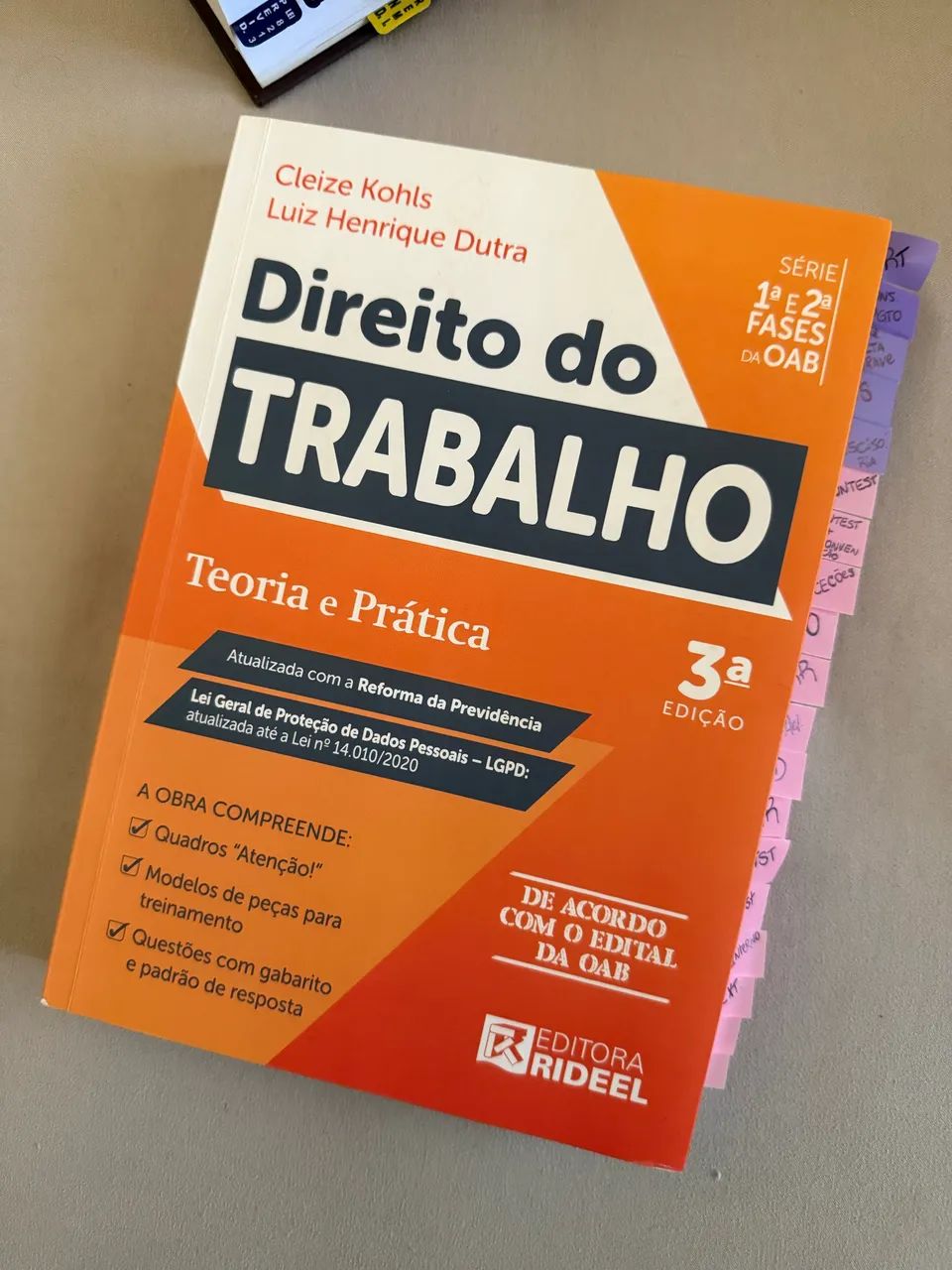 Teoria e prática do Direito do Trabalho 