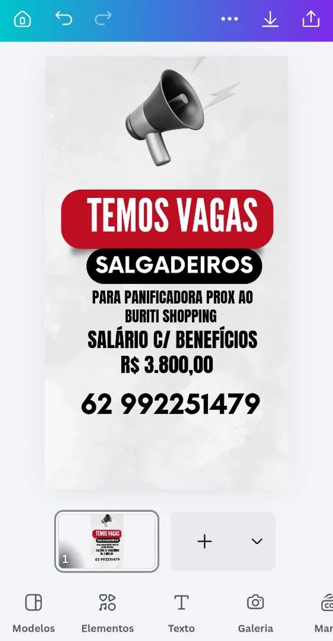 SALGADEIROS 