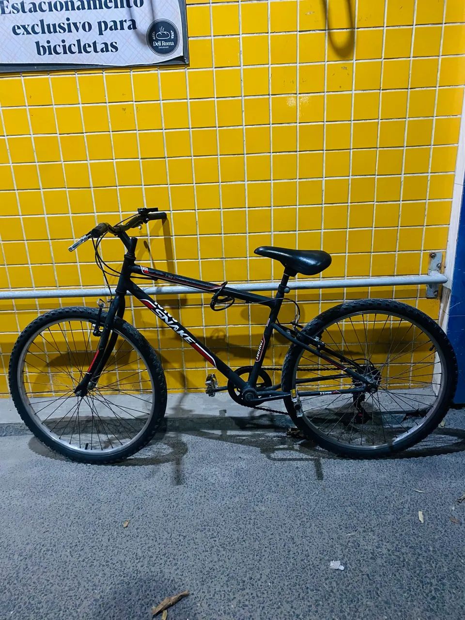 Bicicleta 