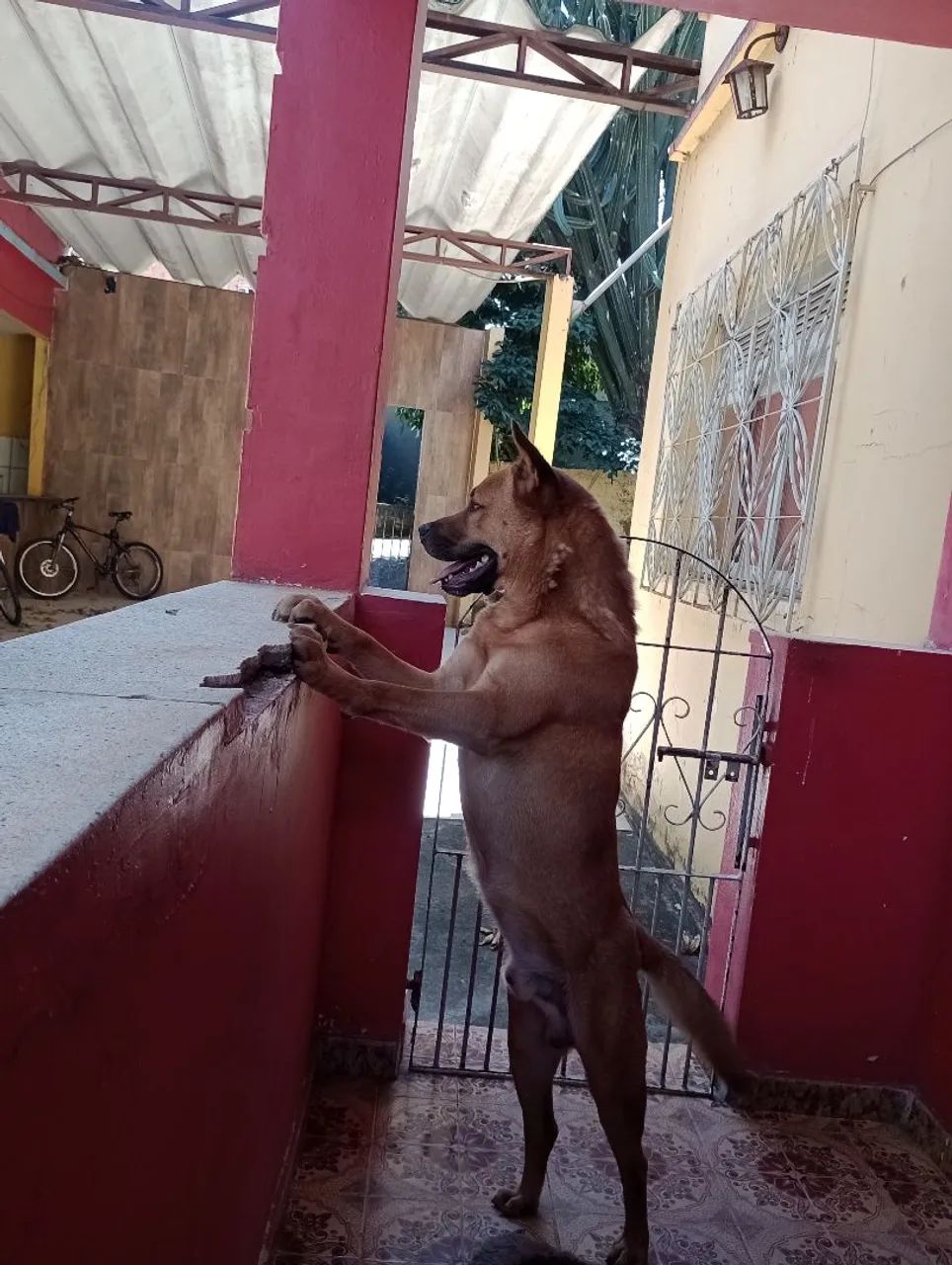 Doação 