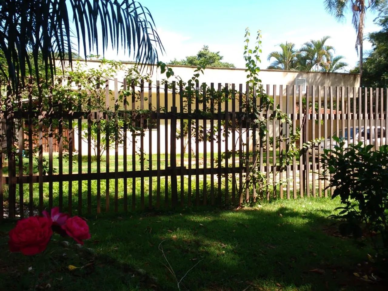 Chácara / Fazenda - Foto 4