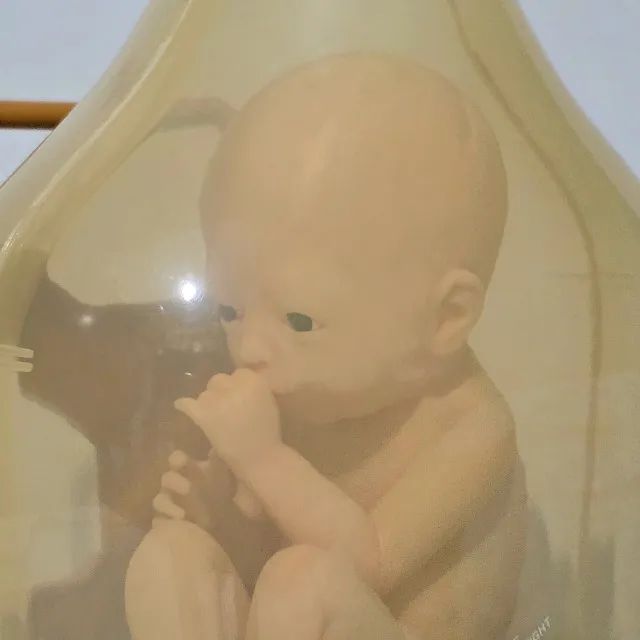 Death Stranding BB Pod - Foto 4