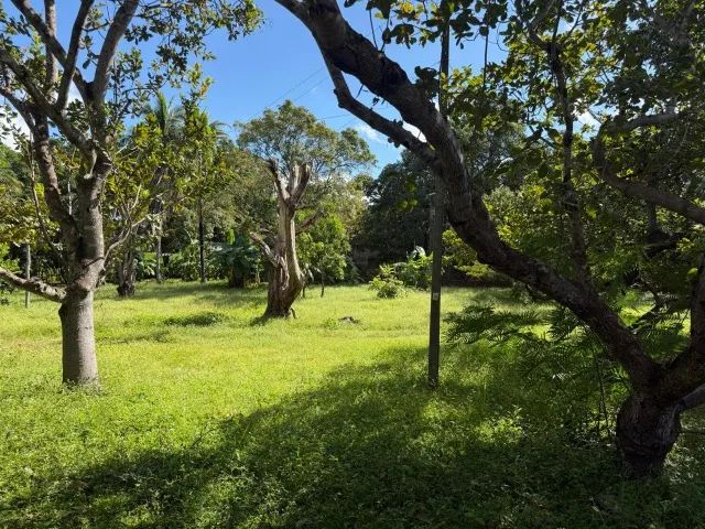 Sitio Morro Algre em Teresina-PI - Foto 4