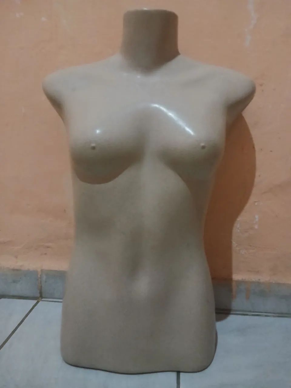 Araras manequins e comeias  - Foto 3