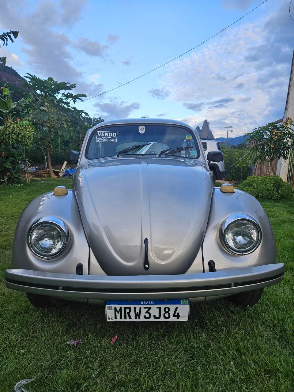 Volkswagen Fusca Fusca (gasolina) 1994 1994