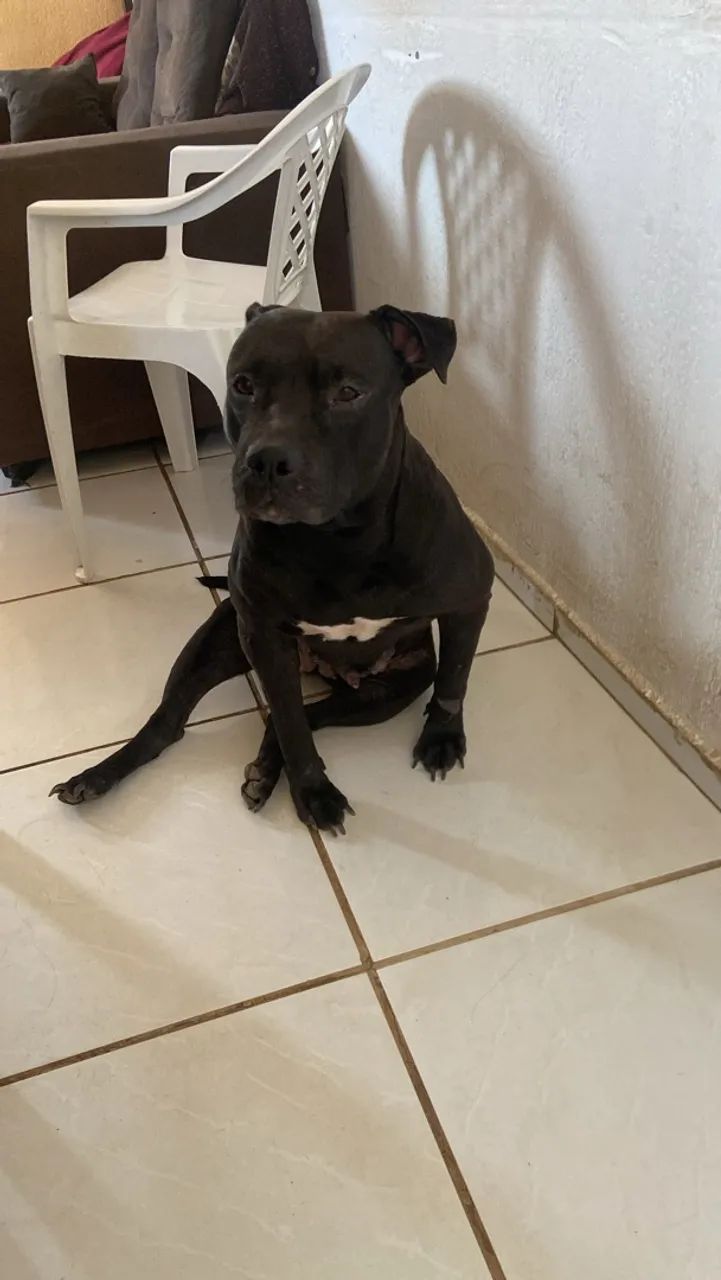 Doação 