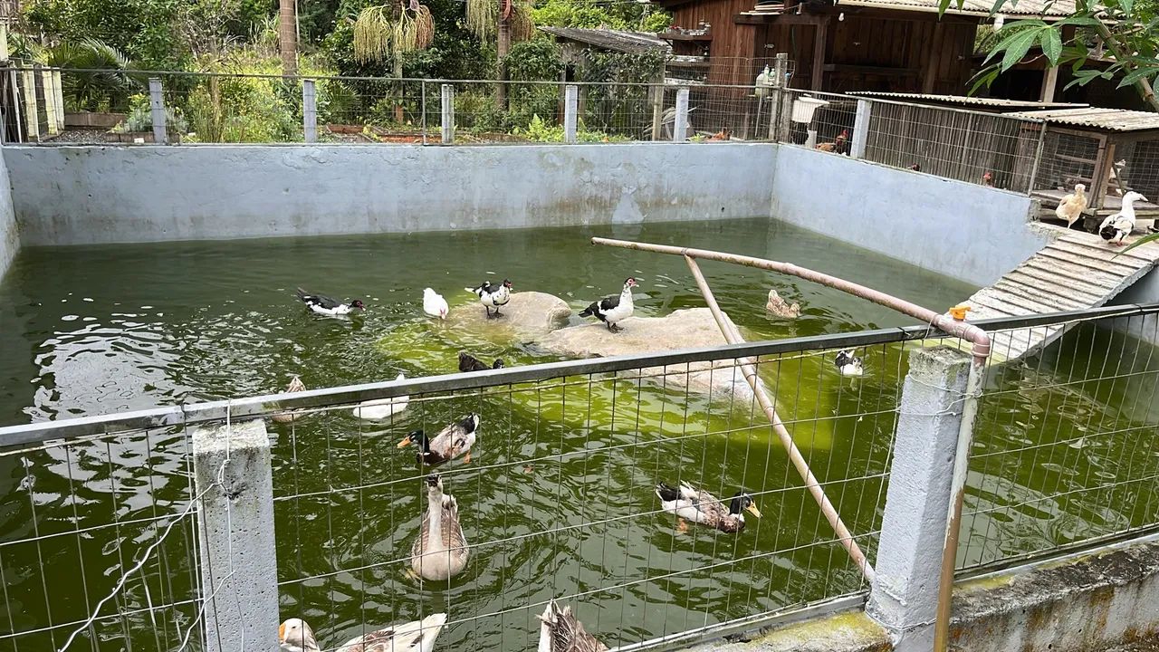 Sítio em fase de escrituração em Major Gercino - Foto 4