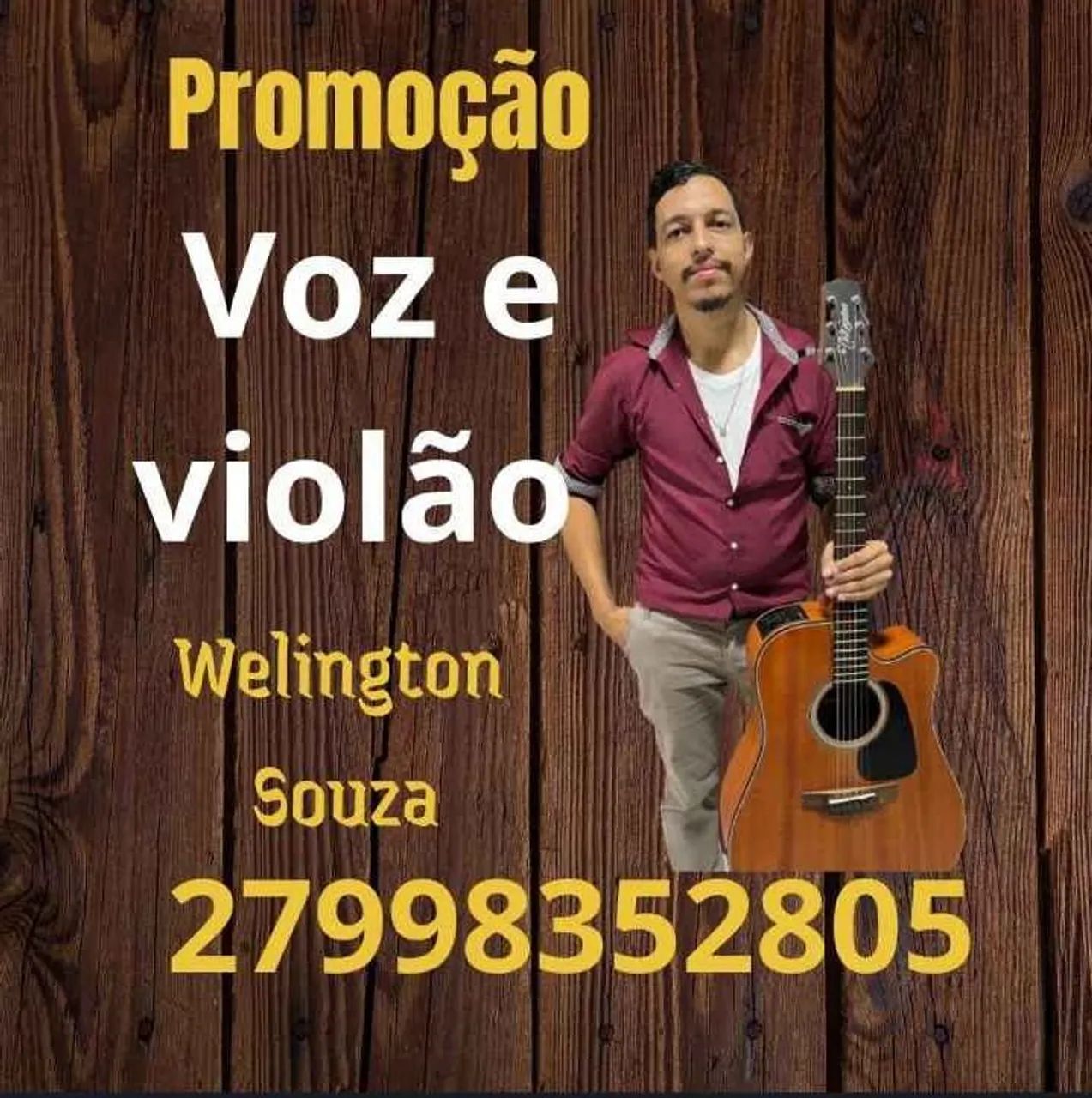 Voz e violão 