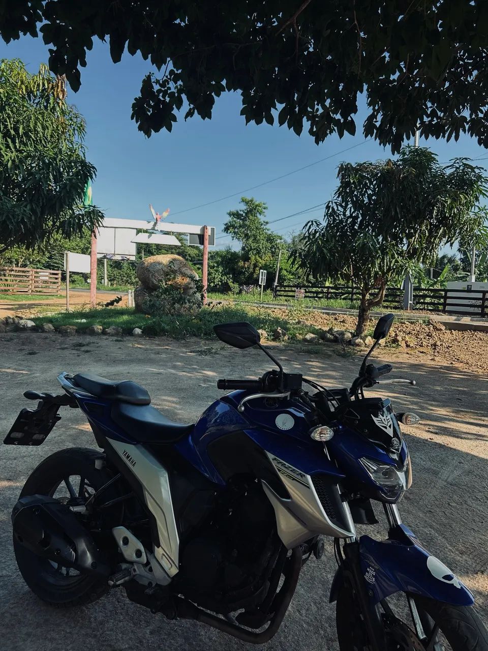 Fzr25