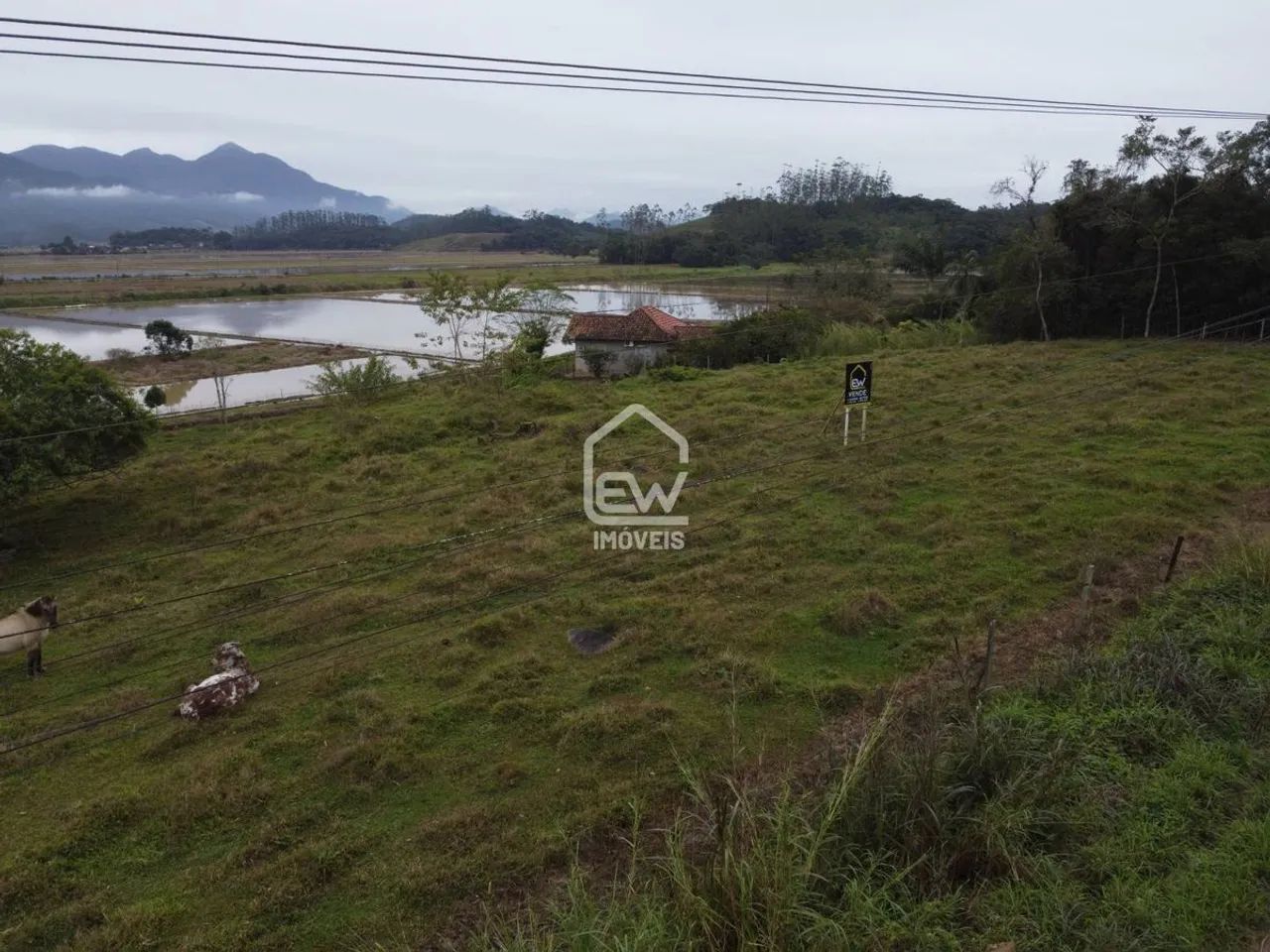 Terreno com 2.328,83m² em Massaranduba , SC - Foto 2
