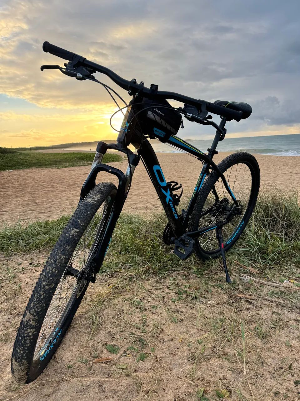  Icicleta Ox aro 29 