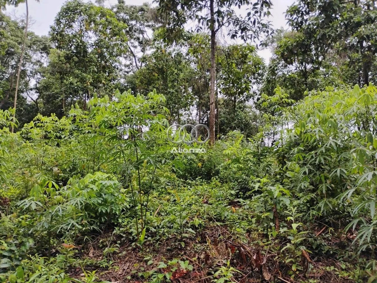 Lote à venda - Em Macacos! - Foto 2