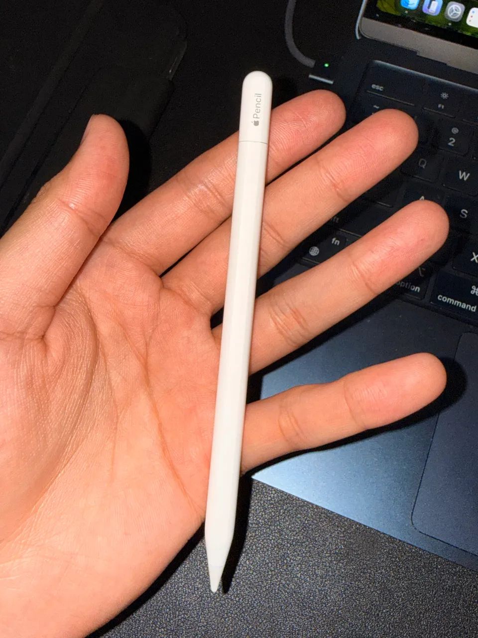 Apple Pencil USB-C 中古 Apple Pencil USB C - Periféricos e Acessórios de Computador