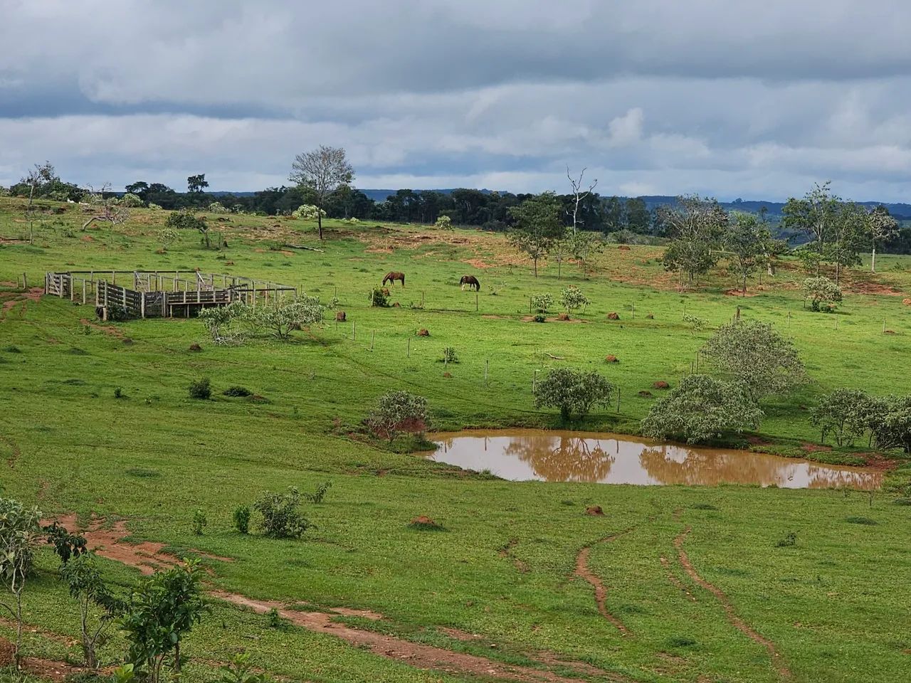 Fazenda dentro de Corumba go