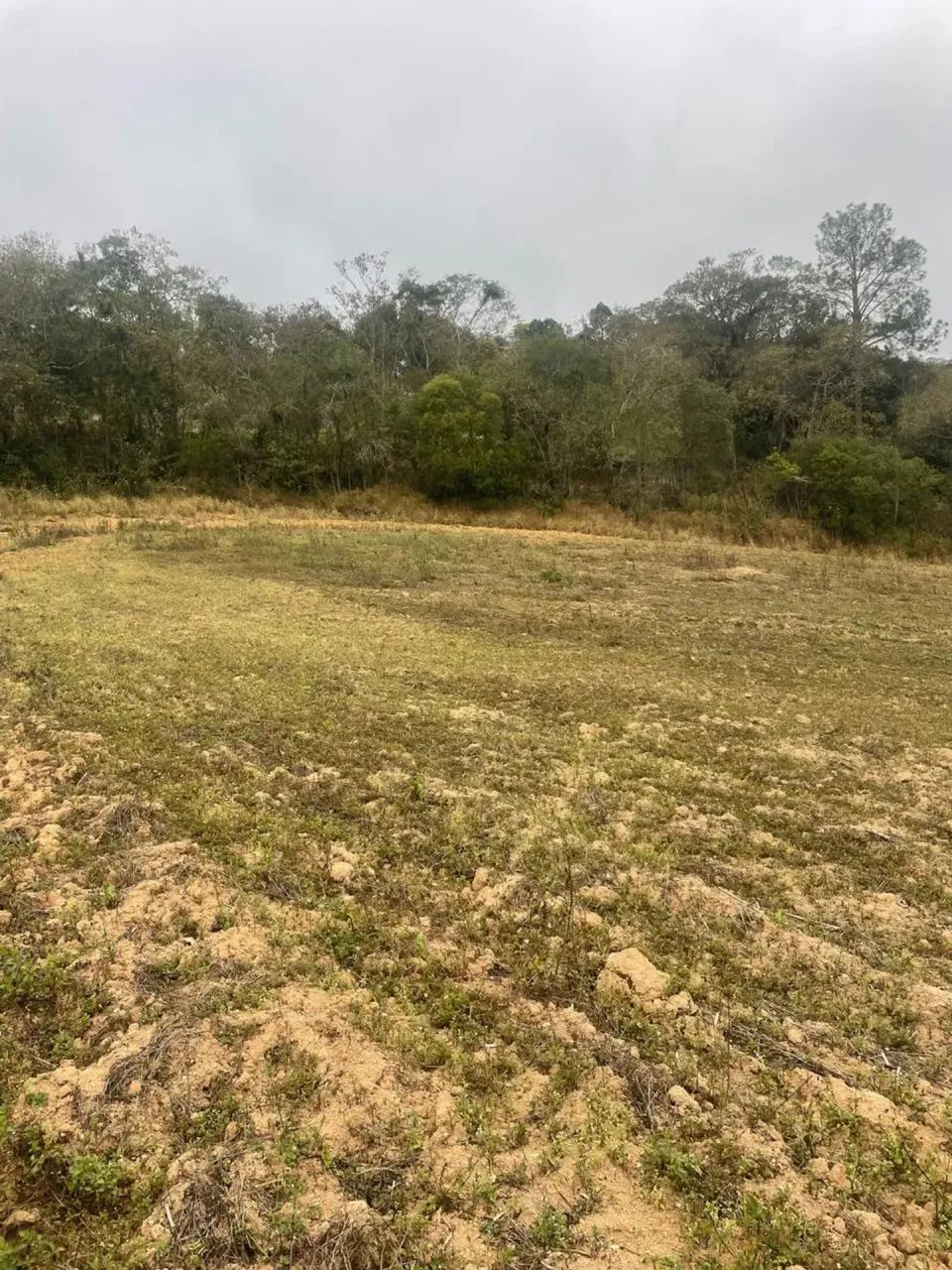 Seu Patrimônio Pode Crescer Aqui - Foto 5