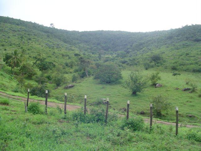 Vale Jiquiriçá-Fazenda - 800 Tarefas, analisa troca p\imóvel em Salvador - Foto 17