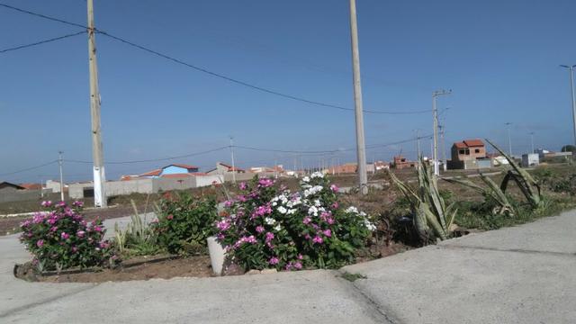Lote com 200m2, lot. Mor. Ventos, 100% pavimentado