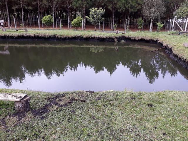 Chácara de cinema/piscina/825m2/área construída/600m/BR 376/ 35km de/SJP/R$1.335.000, - Foto 16