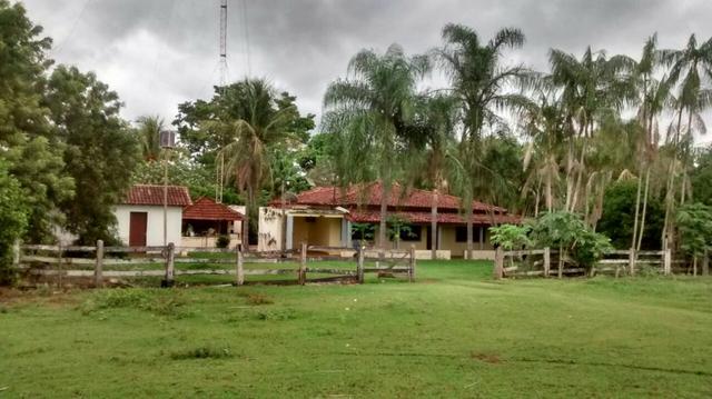 Linda Fazenda no estado de Tocantins - Foto 16