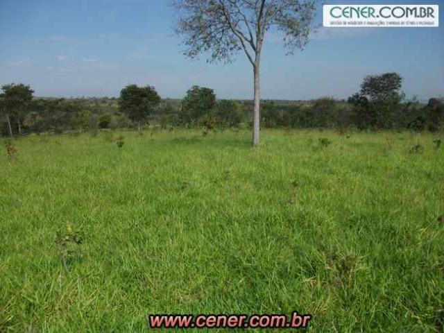 124C/Ótima fazenda de 600 hectares preparada para pecuária - Foto 19