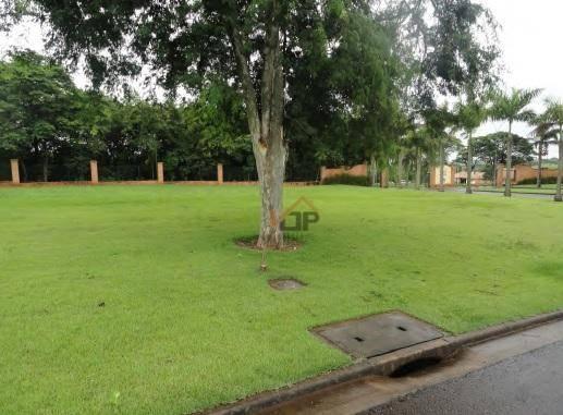 Terreno à venda, 1.342 m² por R$ 511.500 - Alphaville Maringá - Iguaraçu/PR - Foto 2