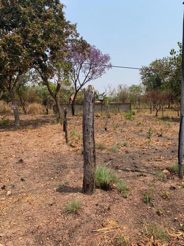 Lote - Foto 6