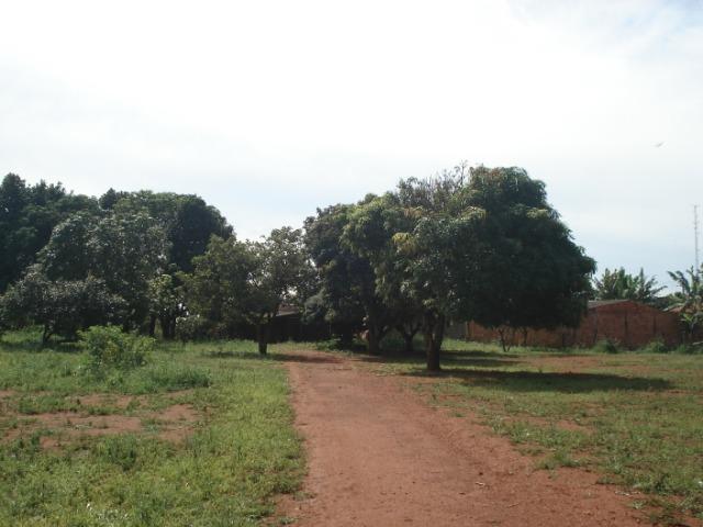 Chácara- Águas Lindas - Foto 6
