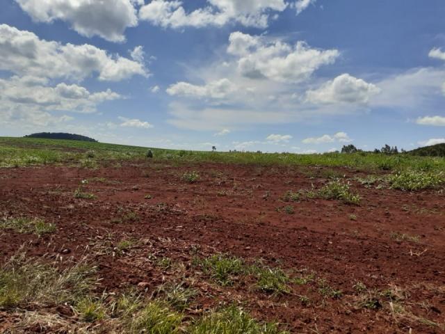 8271 | Fazenda à venda em ZONA RURAL, Ivailandia - Foto 5